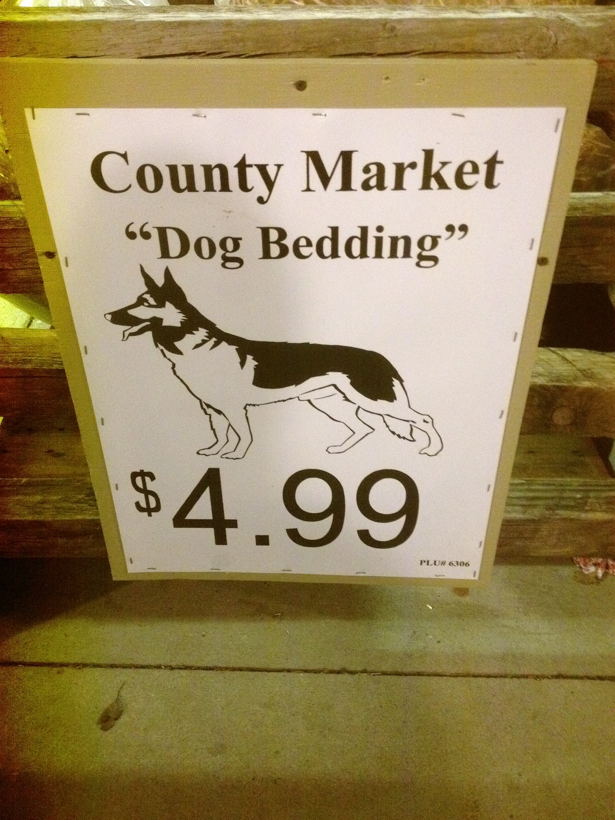 Why Does My Dog Sleep On My Dirty Laundry