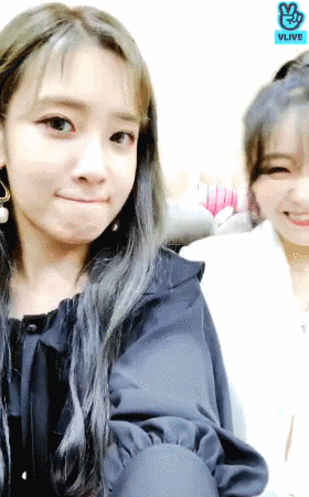6.gif