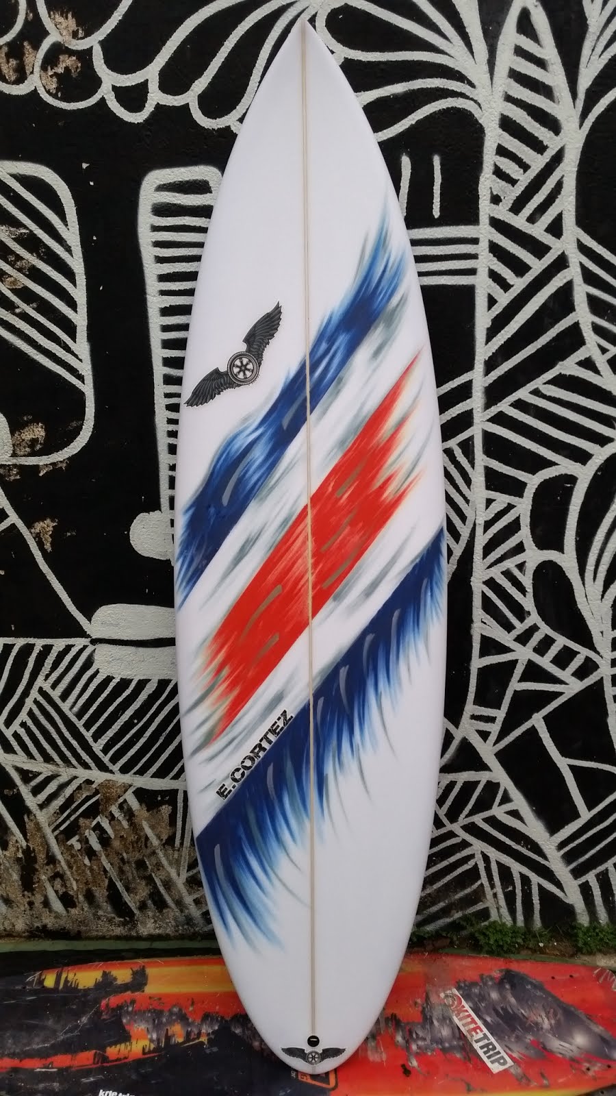 surfboards art  piro