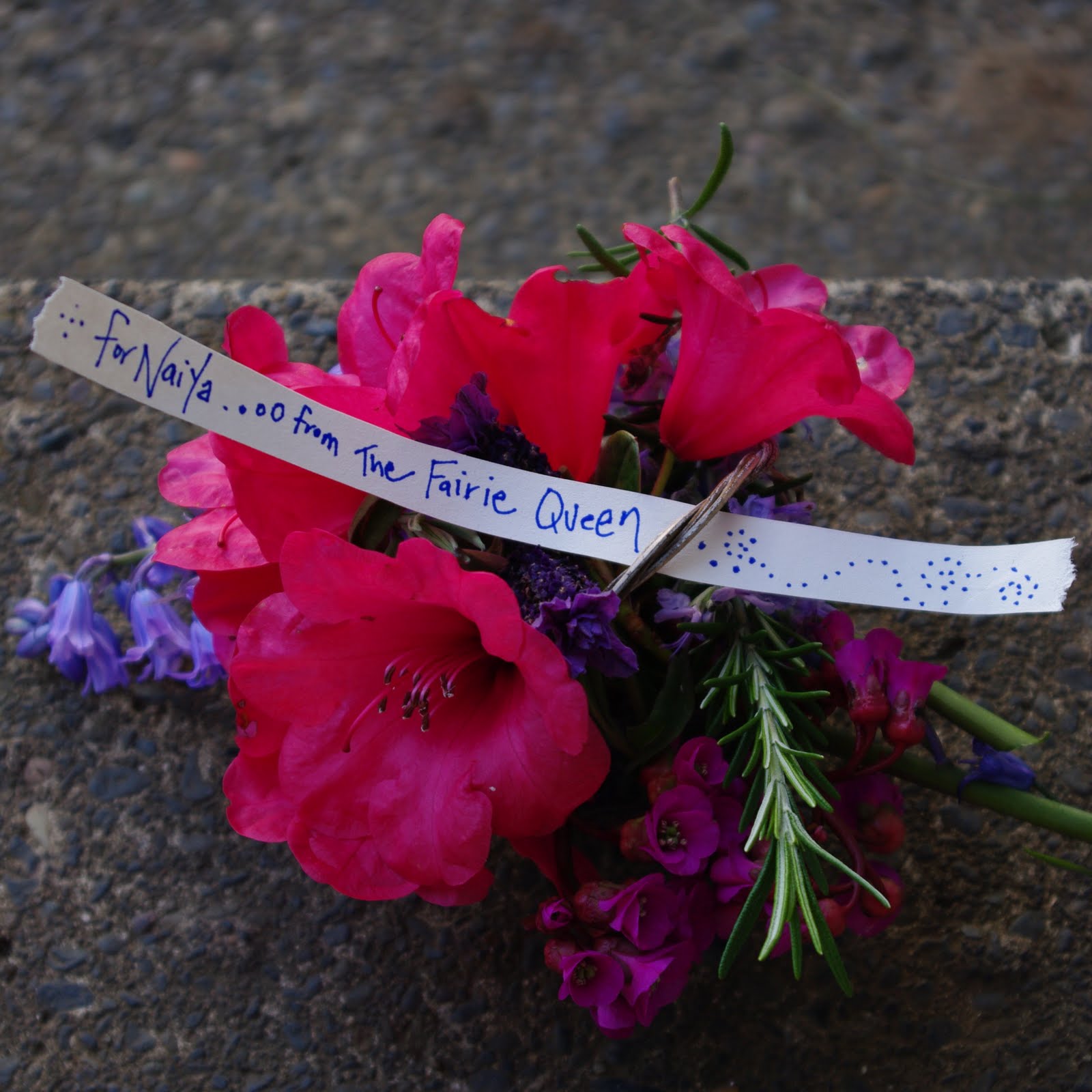 passengers on a little spaceship may day