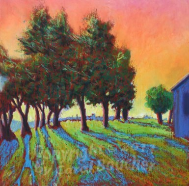 Carol Boucher