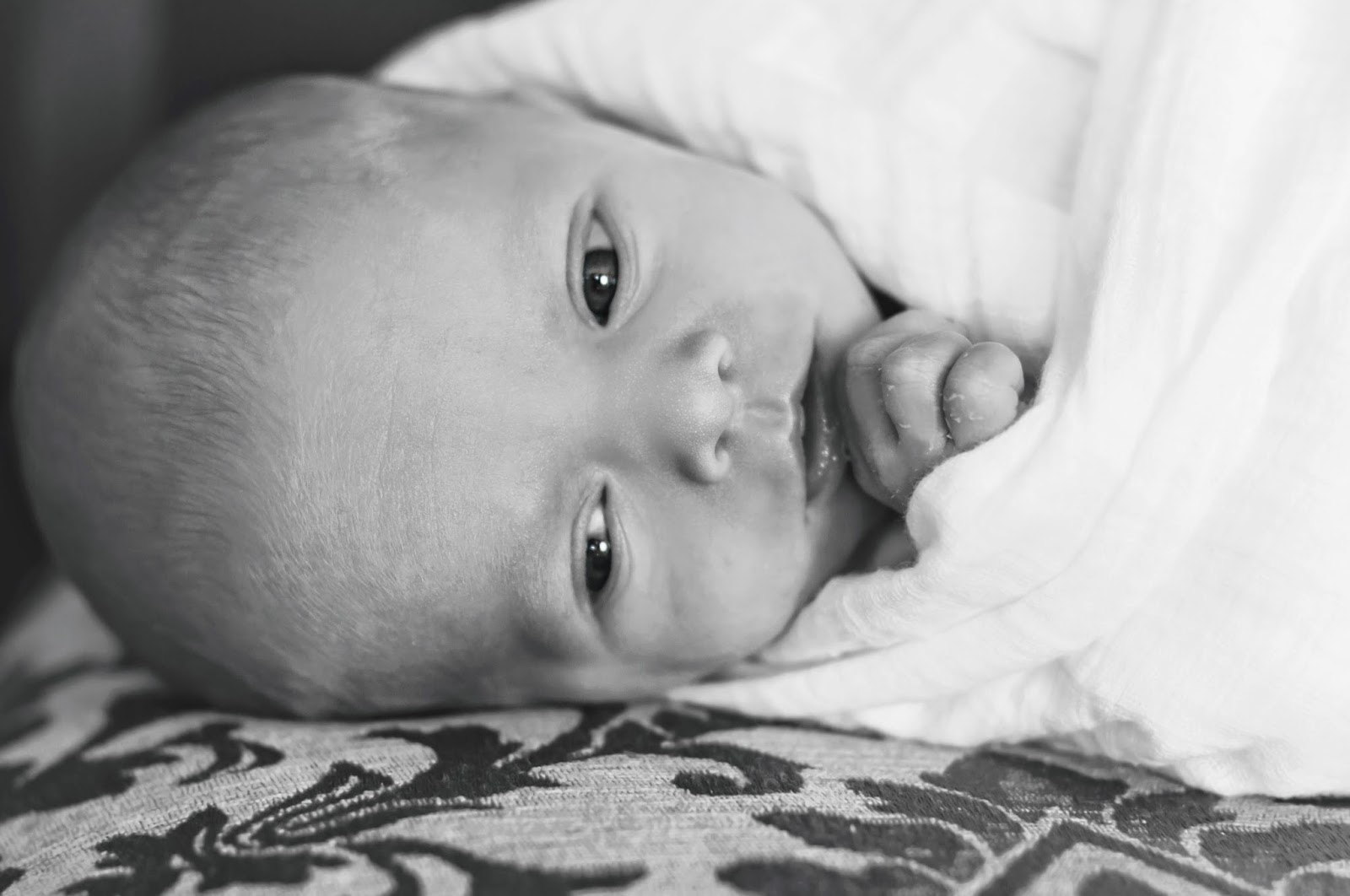 utah newborn photographer, J&H Photography