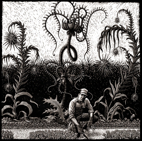12-Carnivorous-Plants-Douglas-Smith-Scratchboard-Drawings-Through-Time-and-Lives-www-designstack-co