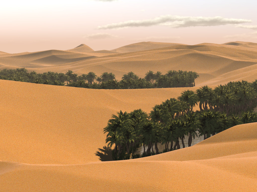 desert saudi