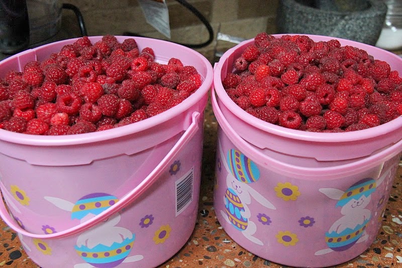 SISTERKINS Making Homemade Raspberry Wine