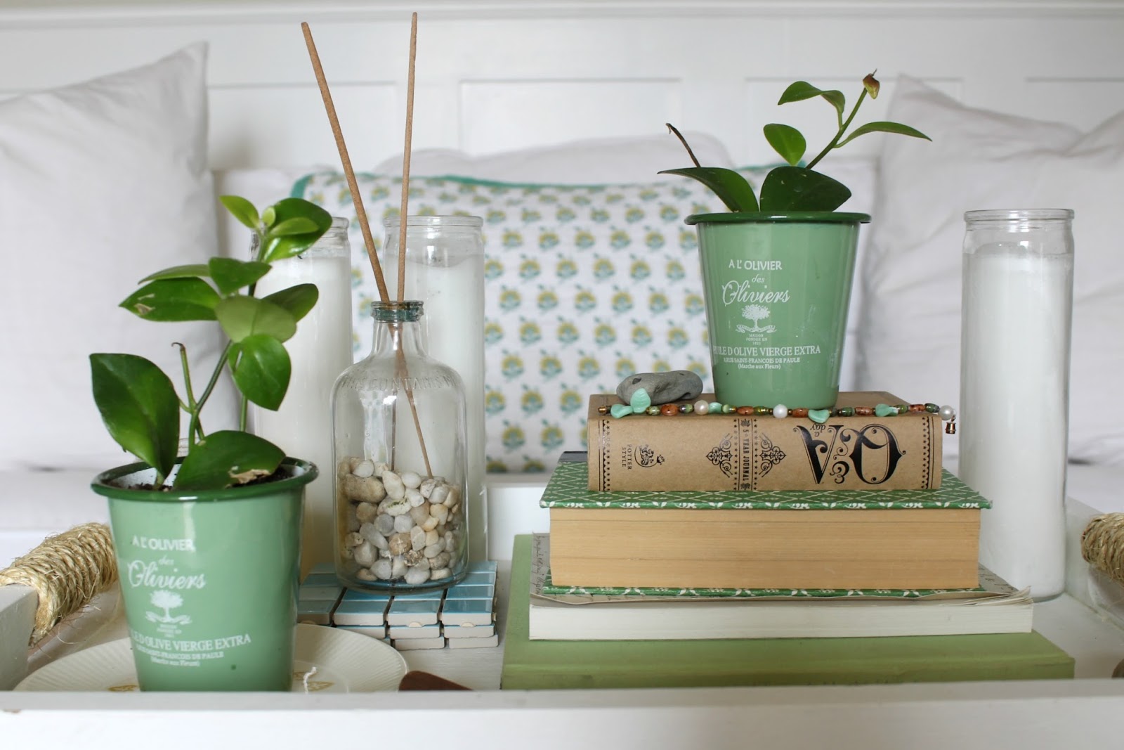 Styling a Coffee Table with New Plants The Wicker House