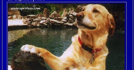 slike sexa s kondomom