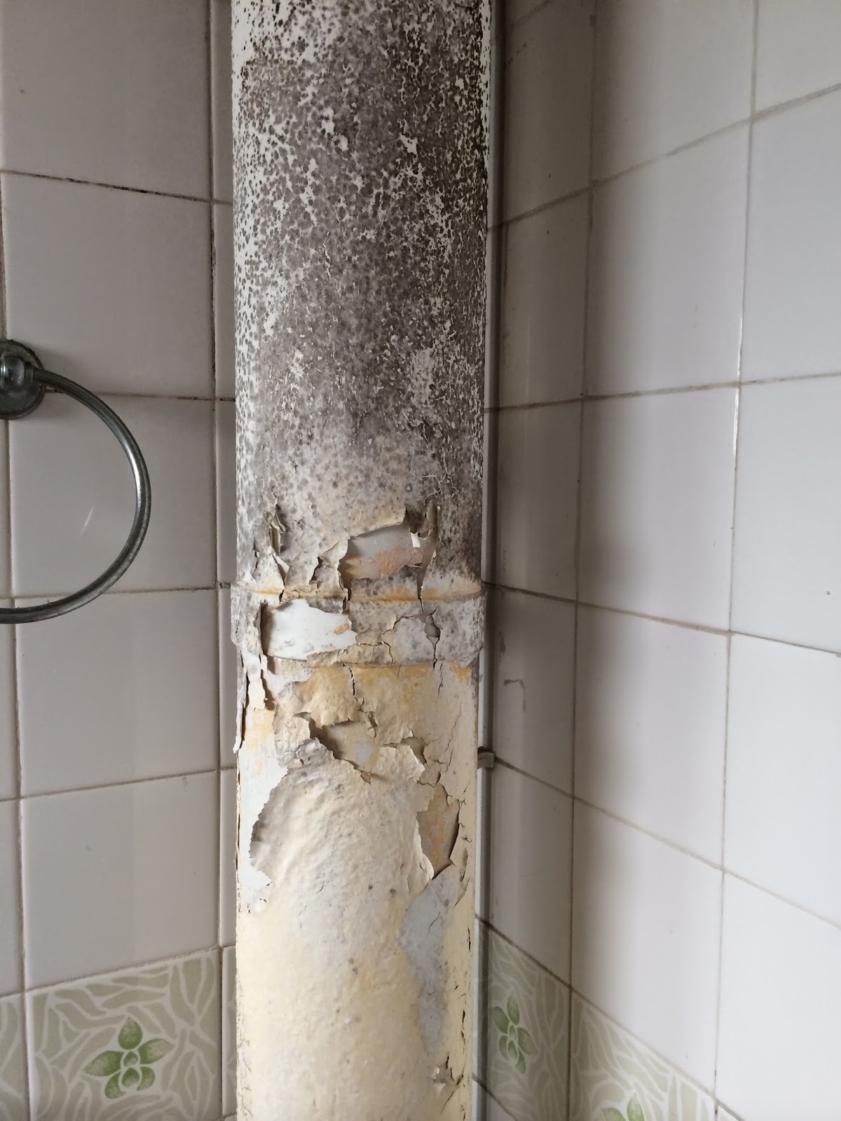 Anti mould for mouldy ceiling. Check out the toilet pipe too. A&J