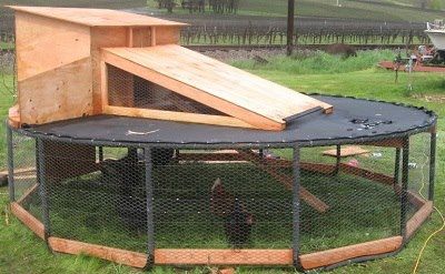 Pictures of chook houses Pictures of chook houses