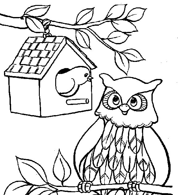 Desene Imagini De Colorat Bufnita Imagini De Colorat Imagini Plansa Fisa