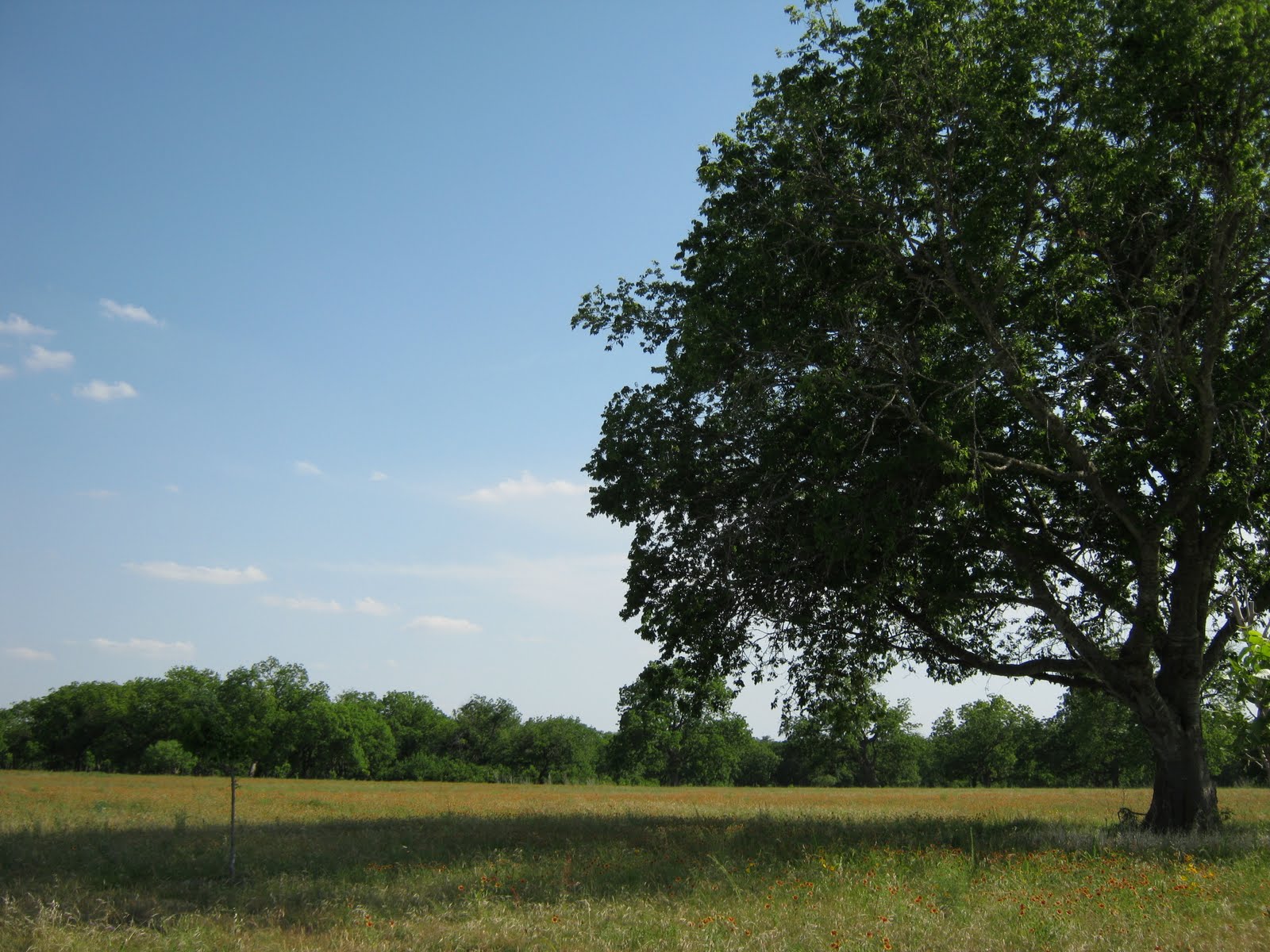 My NotSoSecret Diary Berry Springs Park near TX