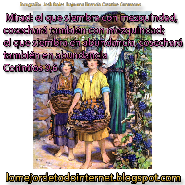 Lo mejor de todo Mirad el que siembra con mezquindad