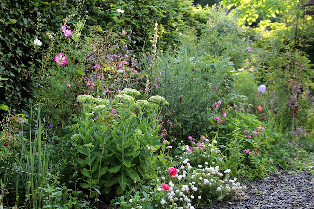 Ma Planete Jardin Viburnum Plicatum Mariesii Originale Et Raffinee