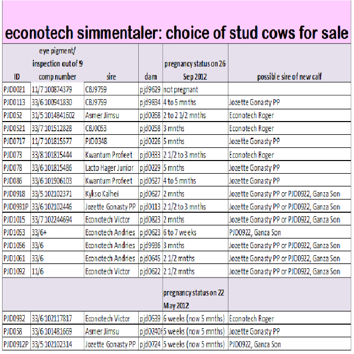 Information about stud cows