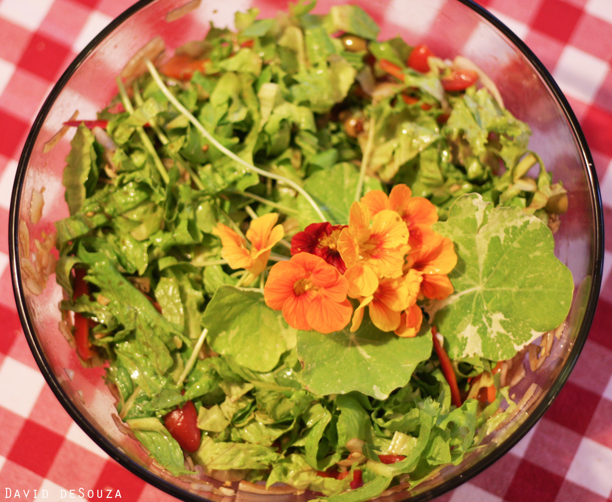 Nasturtium salad DAVID