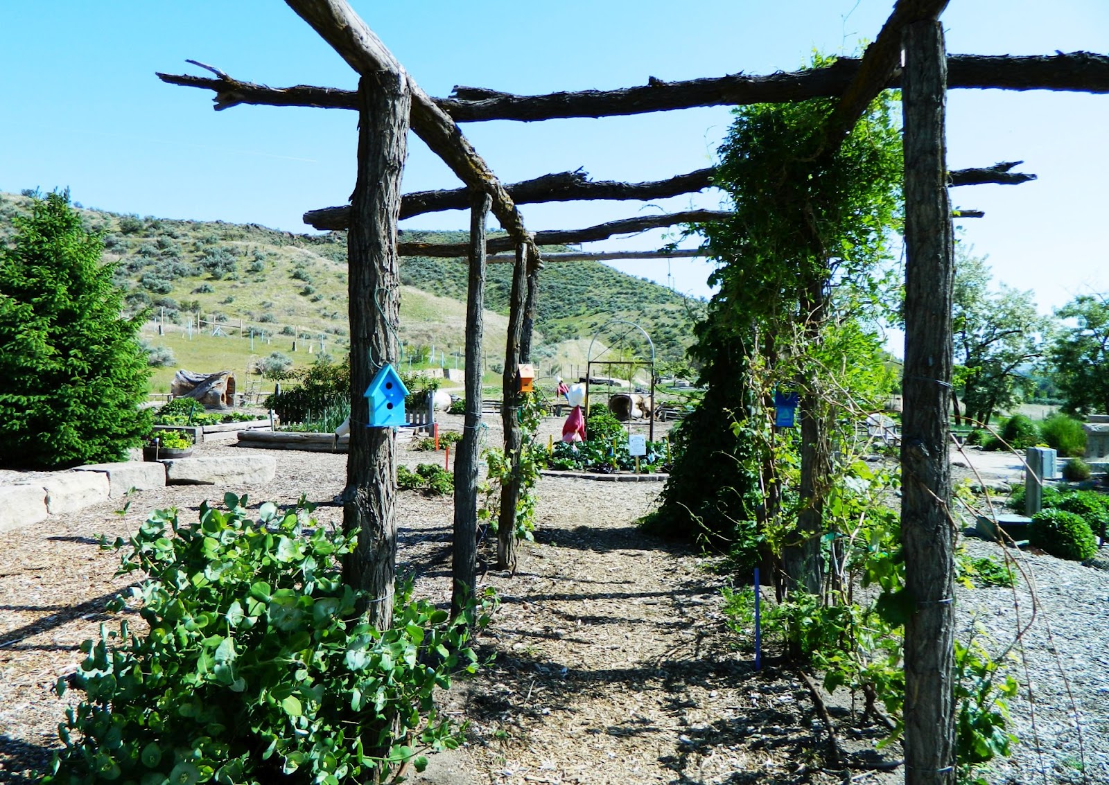 Living in Idaho IBG Native Plant Garden, Garden Bell Living in Idaho IBG Native Plant Garden, Garden Bell