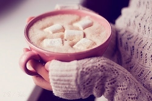 Favorite Drink: Hot Chocolate