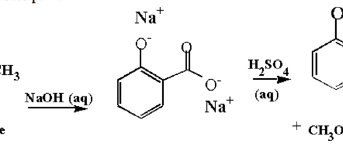 Organic Chemistry Synthesis of Salicylic Acid