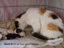 Mama Britt met haar kleintjes, geboren 13 mei 2011