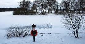 cat-on-frozen-koi-pond-3
