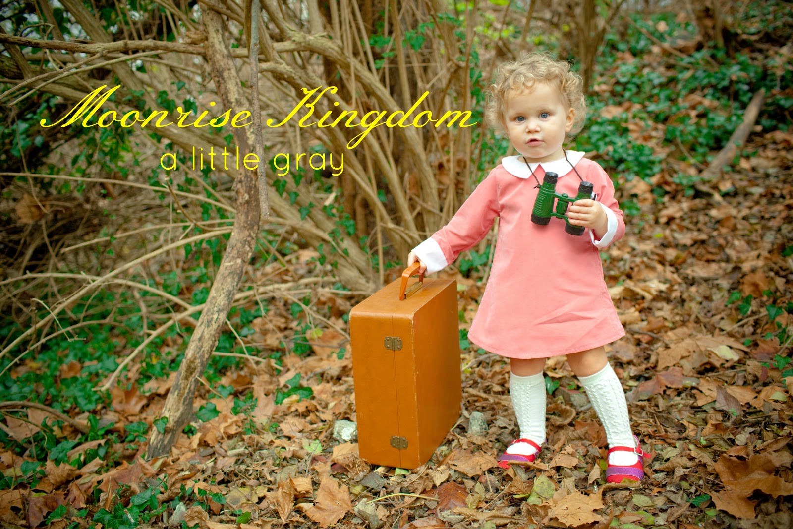 moonrise kingdom suzy dress