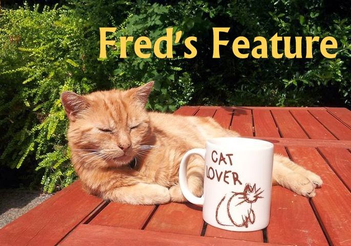 Fred's Feature