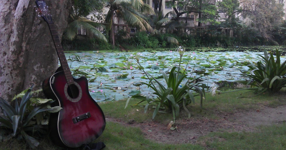 Who Moved My Trees II ?