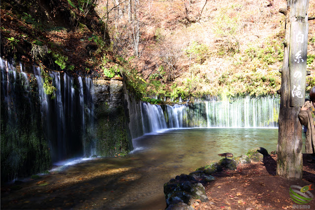 軽井沢 白糸の滝