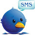 SMS Iceland Free thumbnail