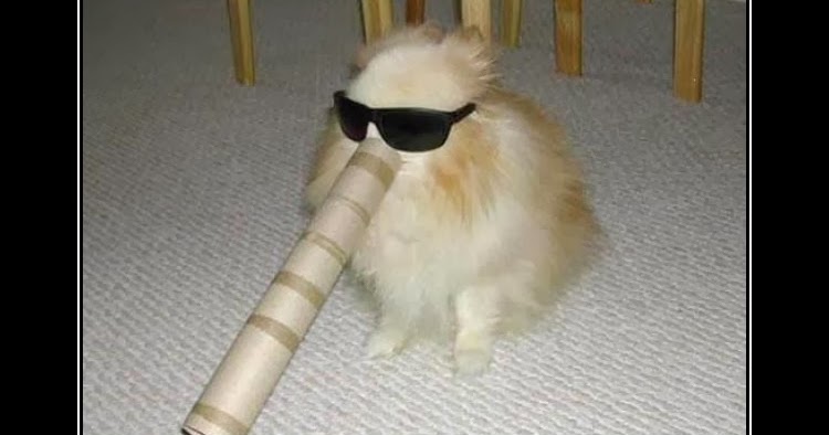 The Story of One Lifetime: So Typical Indonesia