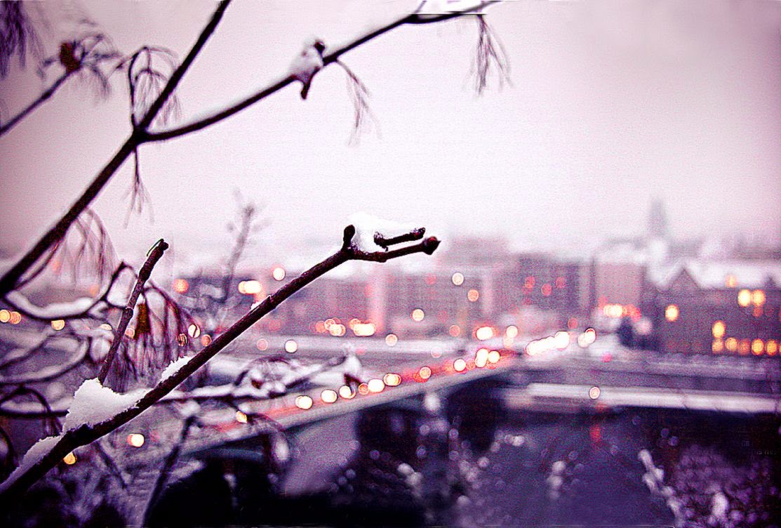 it39s the most beautiful time of the year it39s the most beautiful time of the year