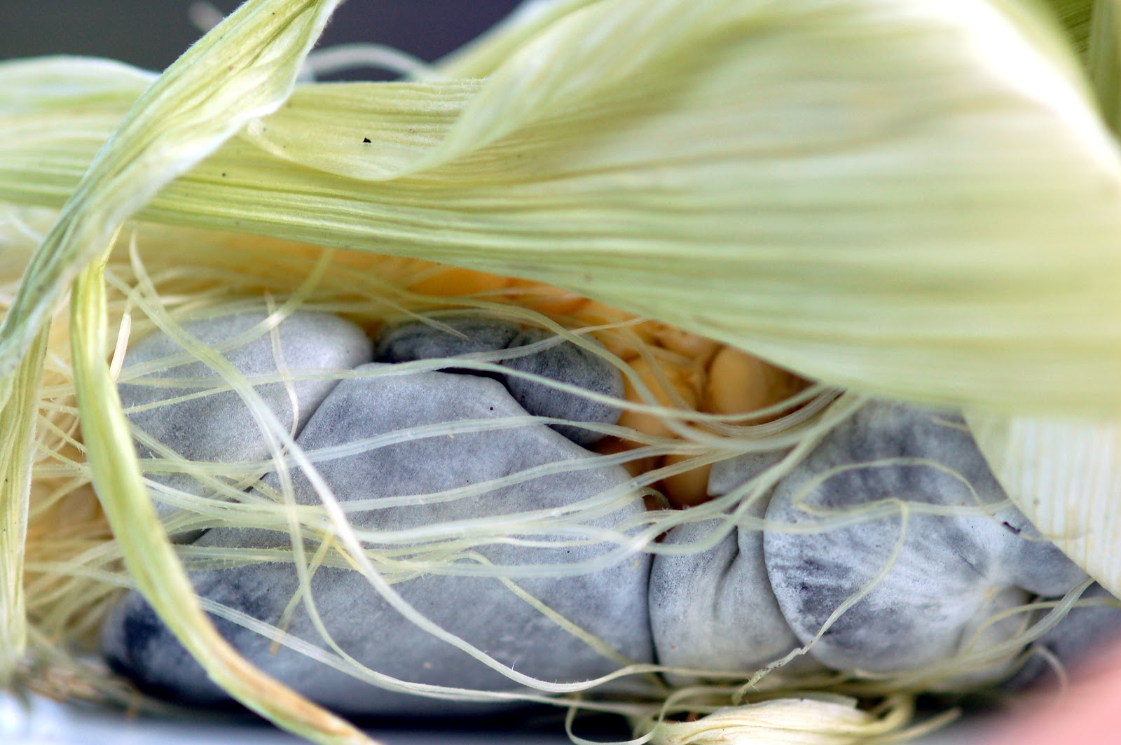 Cook Food. Mostly Plants. Corn Soup with Sauteed Huitlacoche