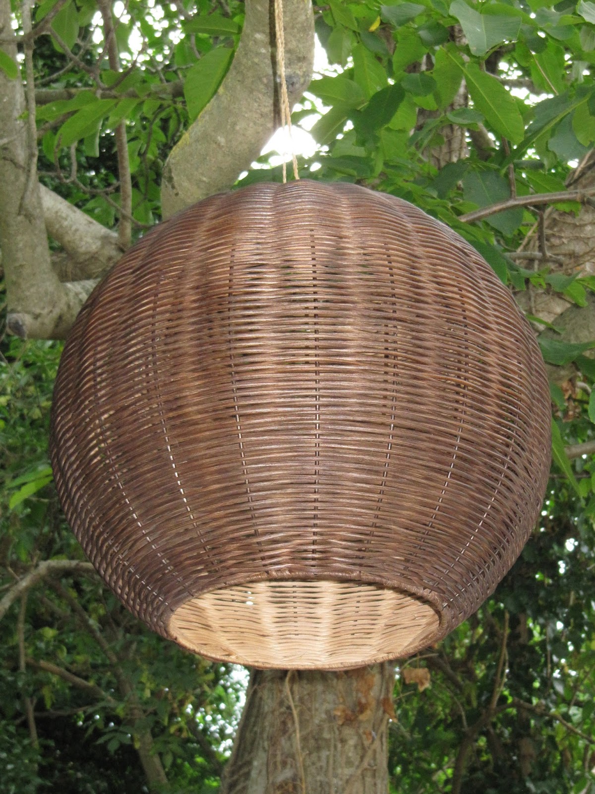 marta penina cesteria: Colección de lámparas KALIDA - Proyectos