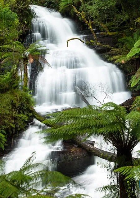 Beauchamp Falls, Victoria, Australia,