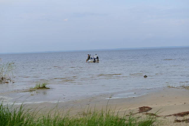 Осенняя охота на утку