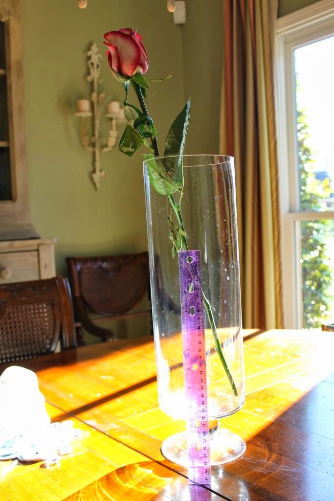 How To Submerge Flowers Miss Kopy Kat