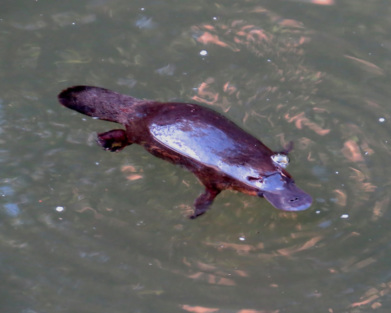 North Queensland Trip, Part 1.