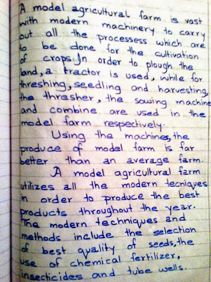 My favorite game cricket essay writing picture