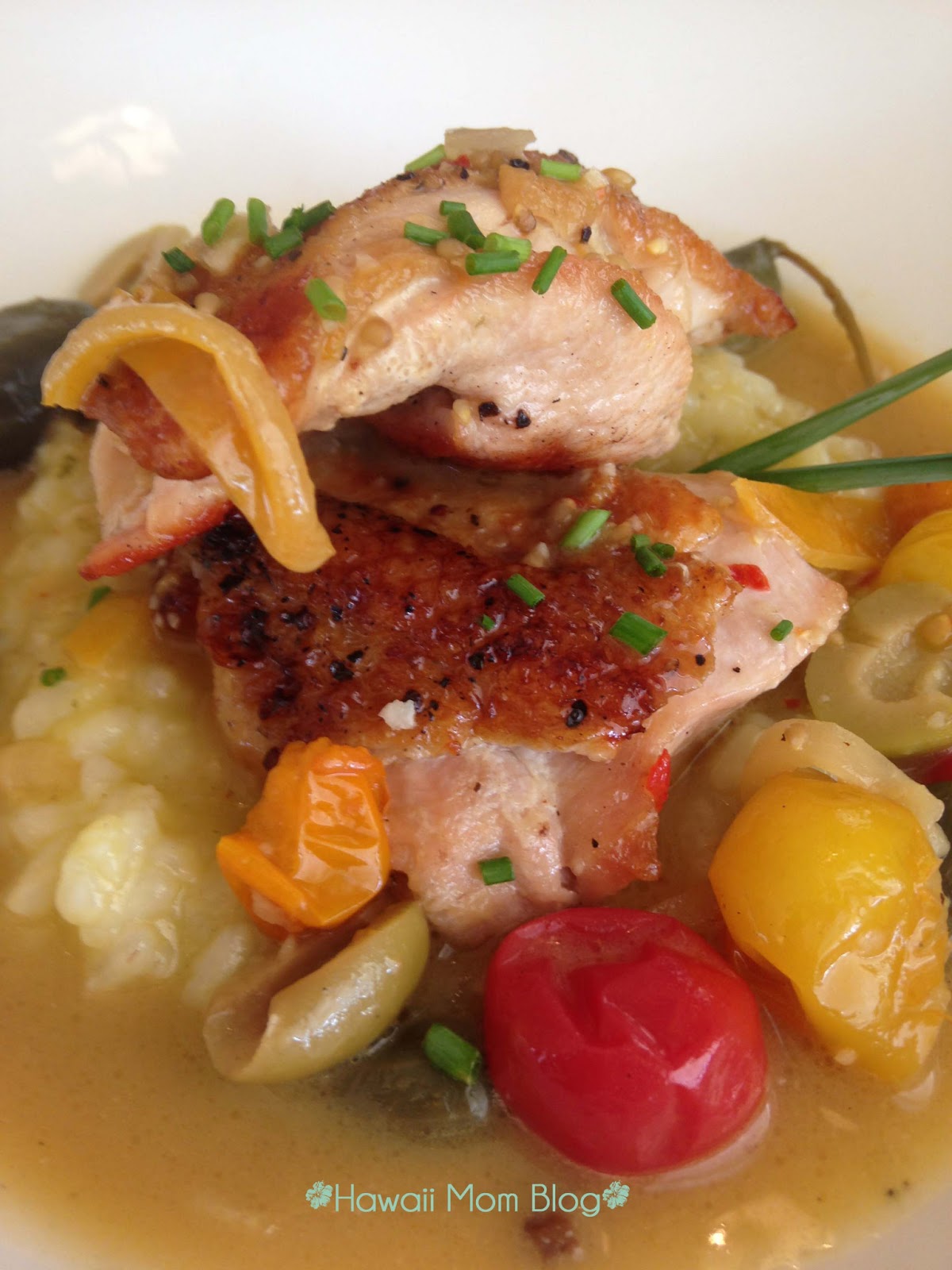 Hawaii Mom Blog Cactus