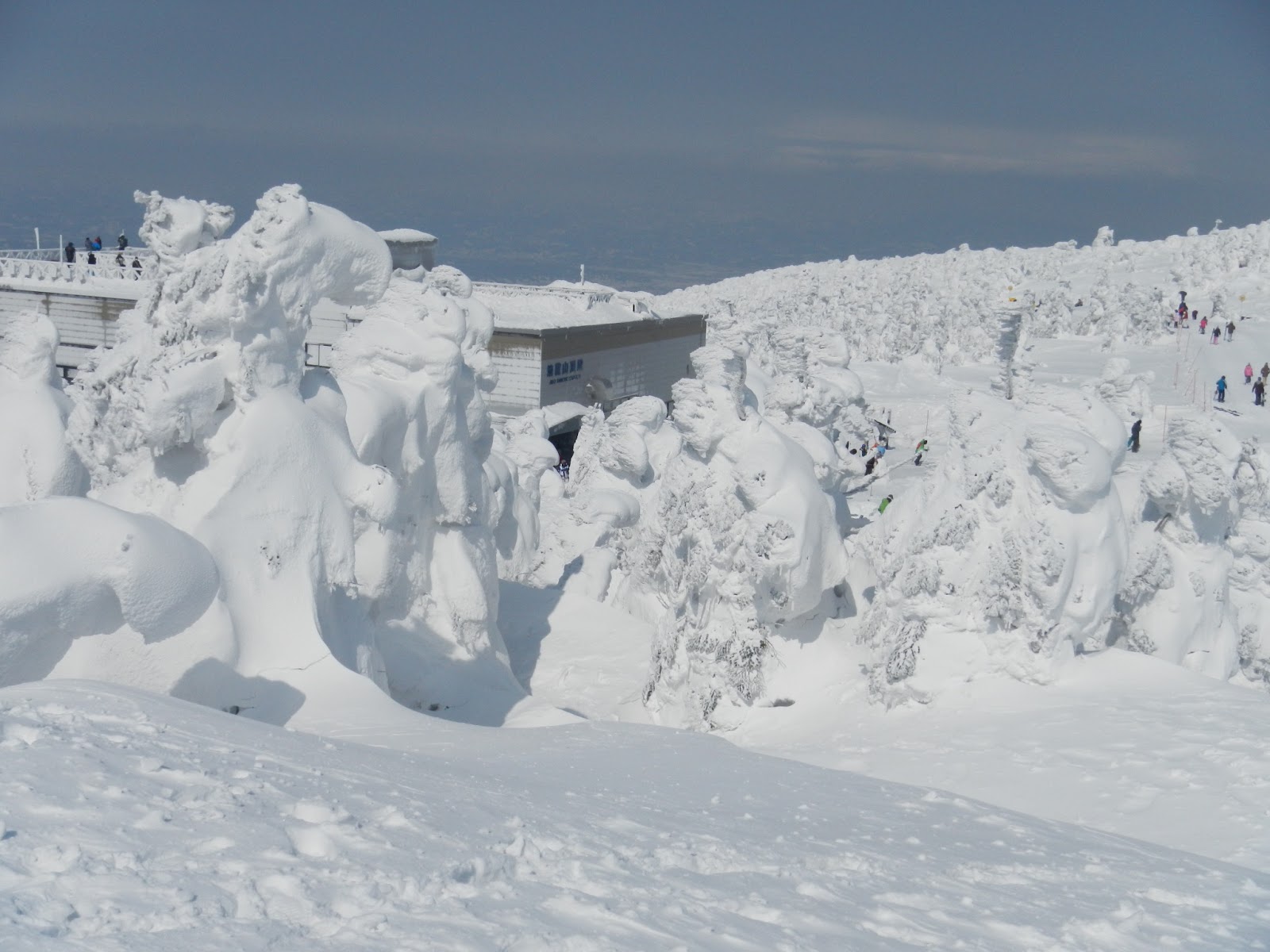 Adventures in Yokosuka Zao Onsen Ice Monsters