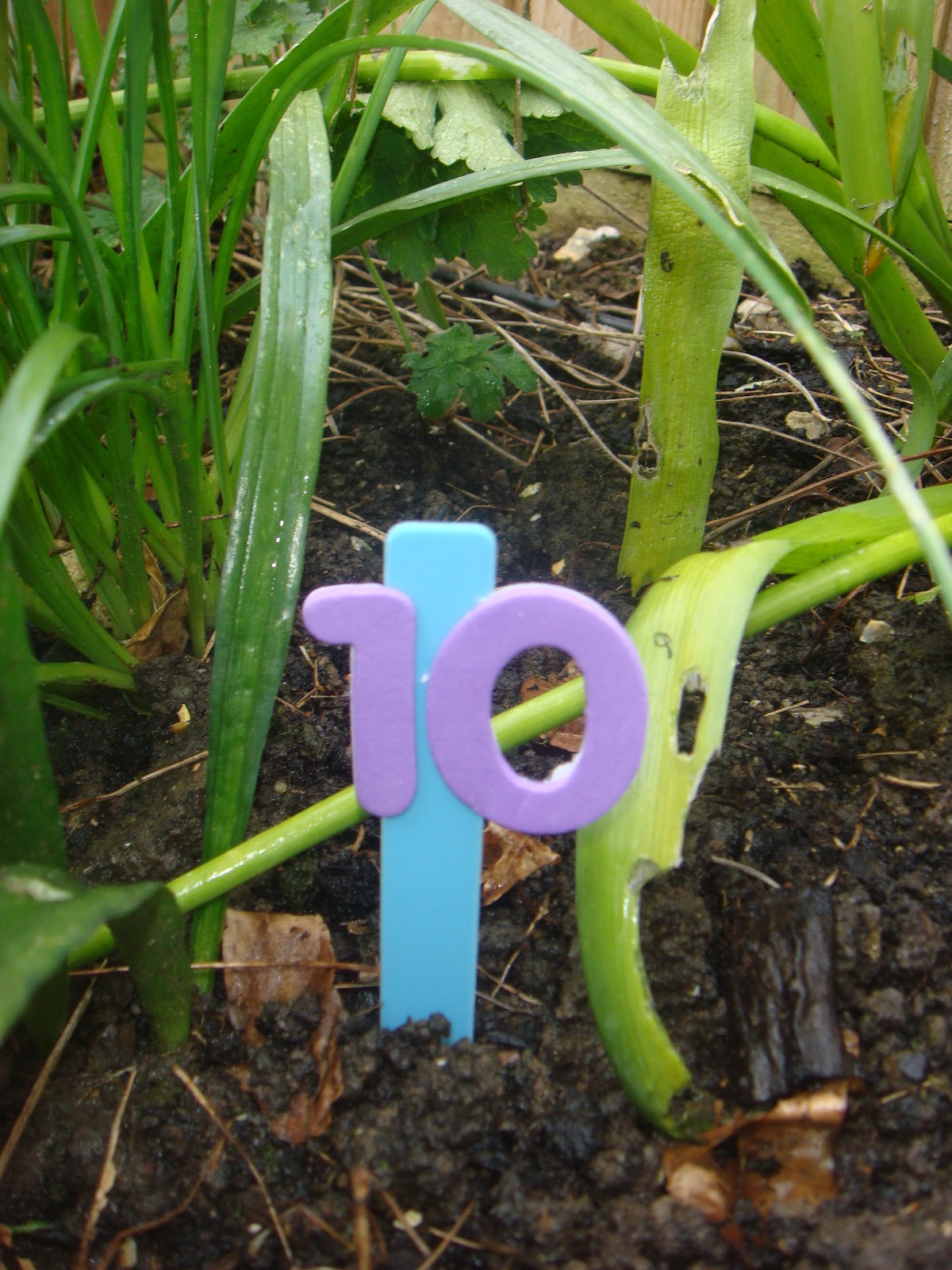 Making Boys Men Outdoor Number Hunt & Other Fun!