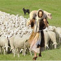 "Les aseguro que yo soy la puerta de las ovejas.
