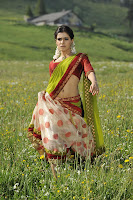 Samantha, Dookudu, red, saree, navel show, traditional look, expression