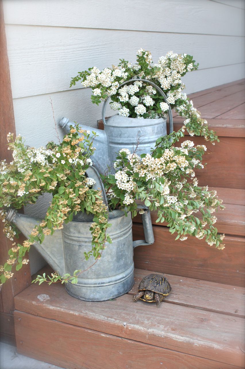 Mish Mash Garden Variety