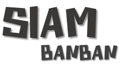 SIAM BANBAN รวม บทความต่างๆ IT Blogger SEO ภาษาใต้ แหลงใต้ เทคนิคต่างๆ PHP C# ภาษาอังกฤษ