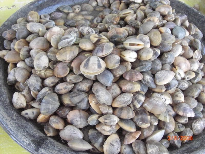 Cik Wan Kitchen Siput Pahat Goreng Pedas Berserai