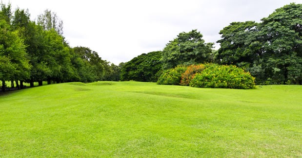 ARTE Y JARDINERÍA : CÉSPED. Siega, Fertilización, aireado y escarificado