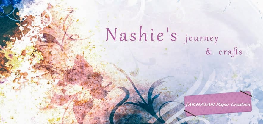 Nashie's journey