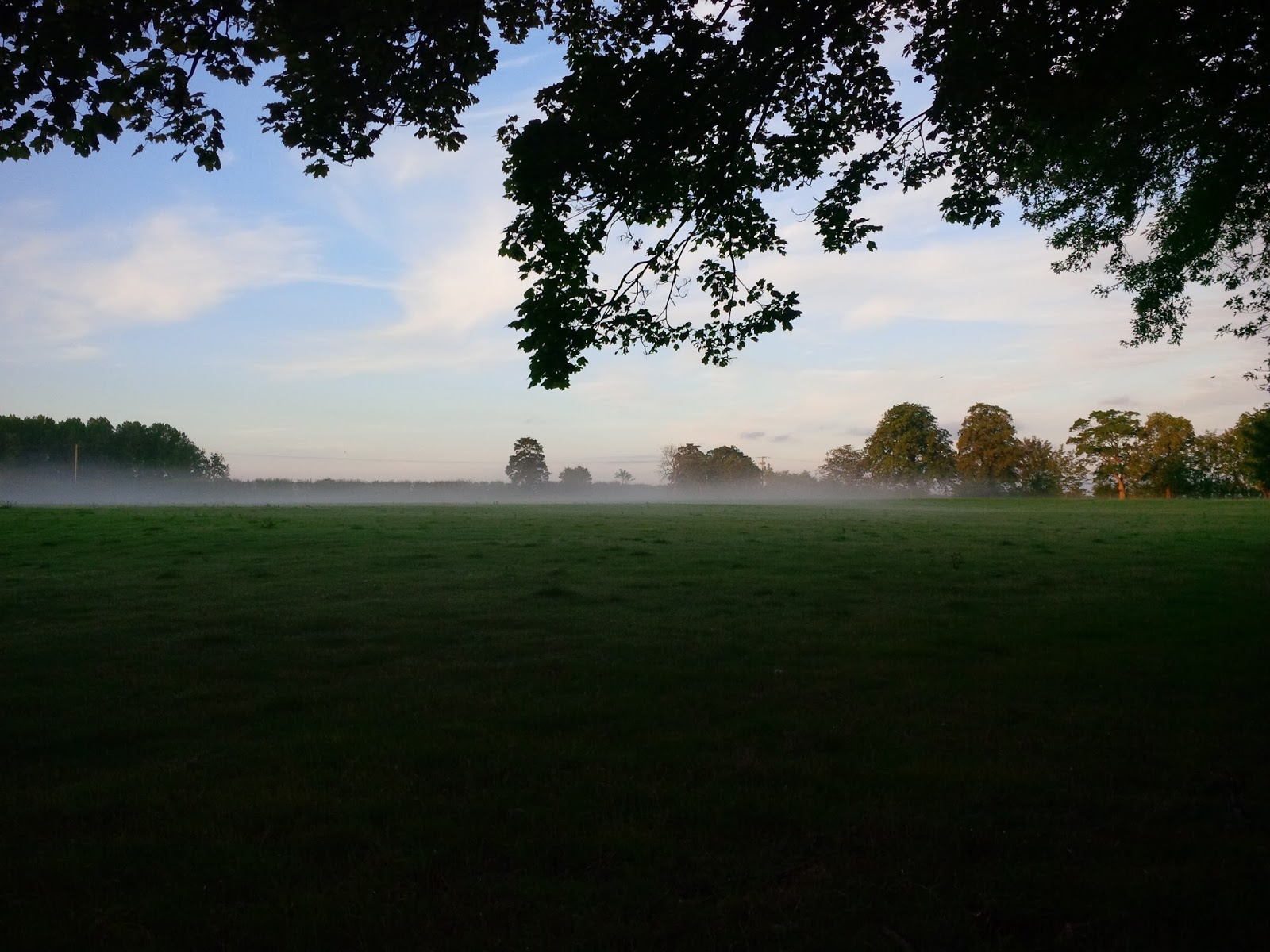 Metaphors to describe fog picture