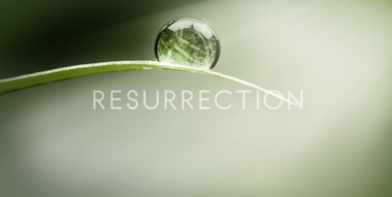 Resurrection-logo-wide-560x282.jpg